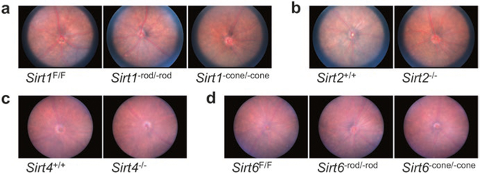 Fig. 68.1