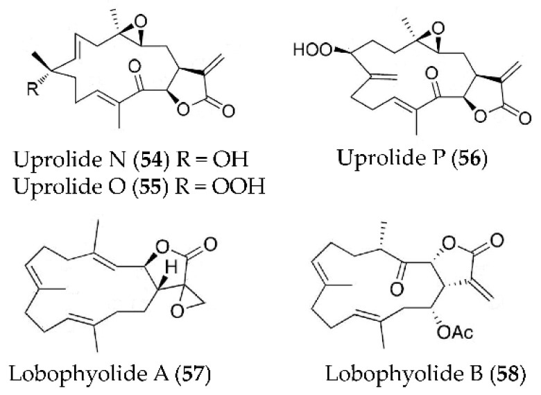 Figure 12