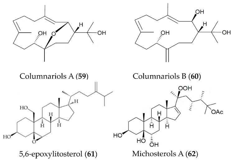 Figure 13