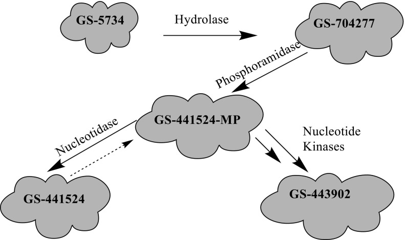 Fig. 9