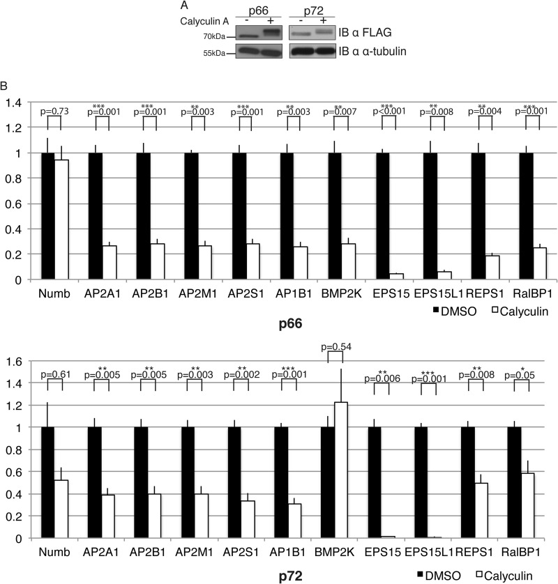 Fig. 8.