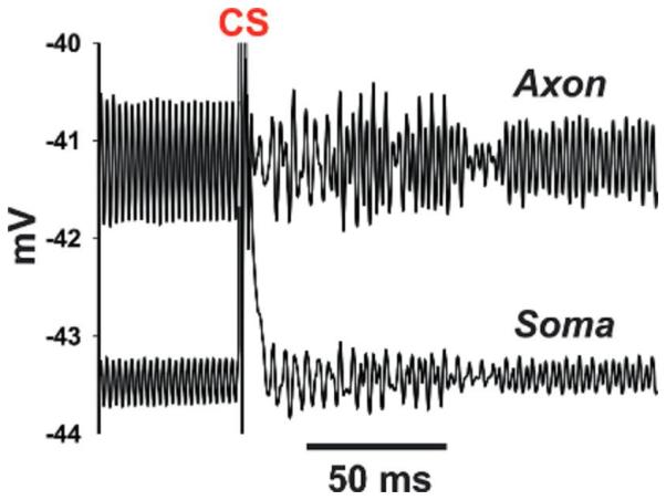 Fig. 8