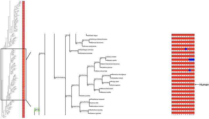 Fig. 2.