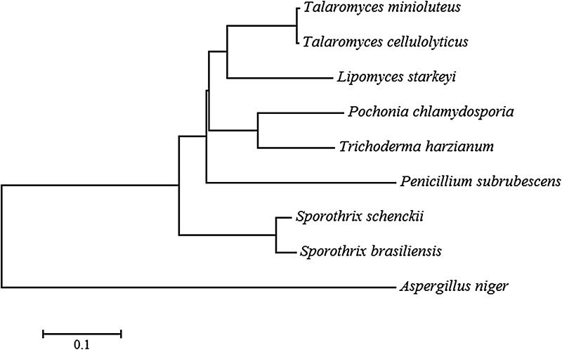 Fig. 5