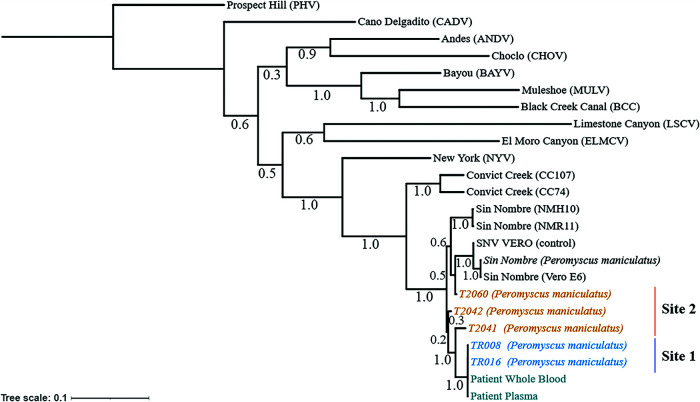 FIG 2