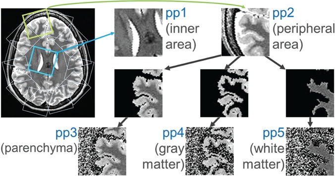 Fig. 2