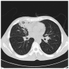 Figure 10.