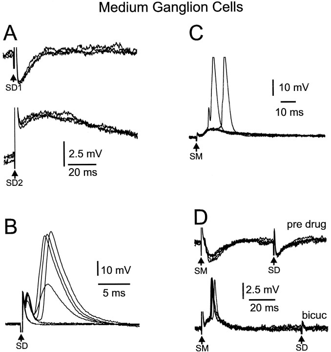 Fig. 9.