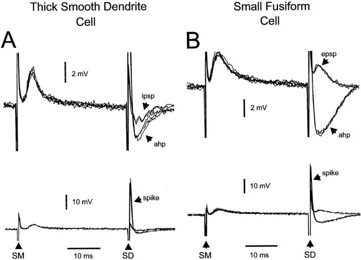 Fig. 14.