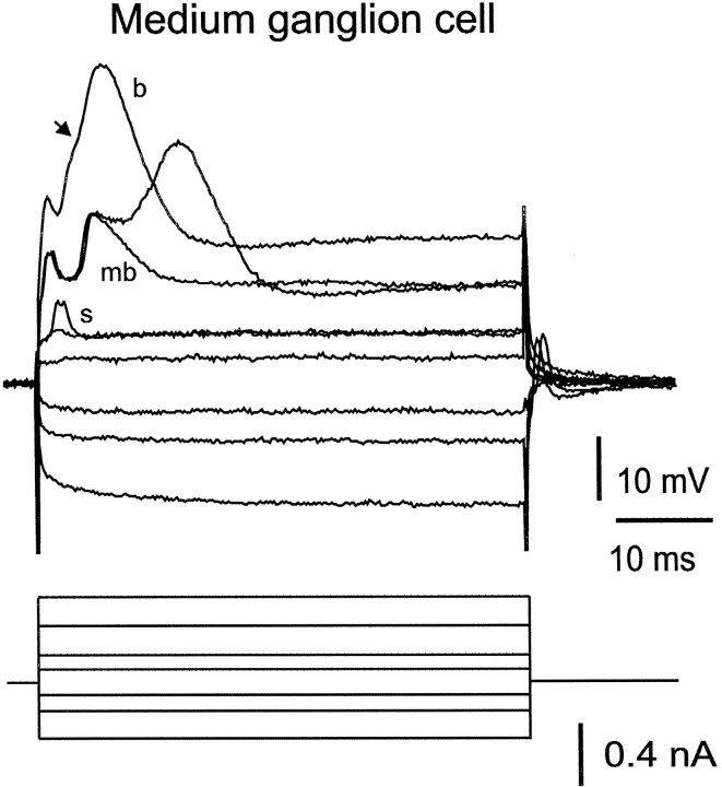 Fig. 8.