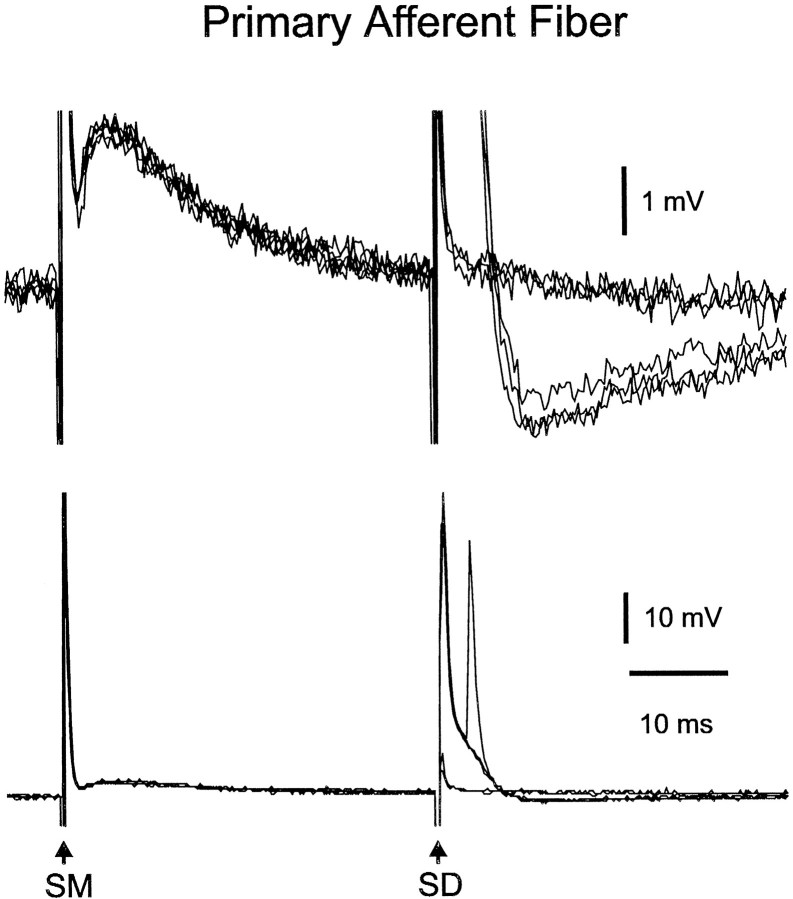 Fig. 15.