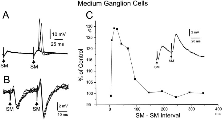 Fig. 10.