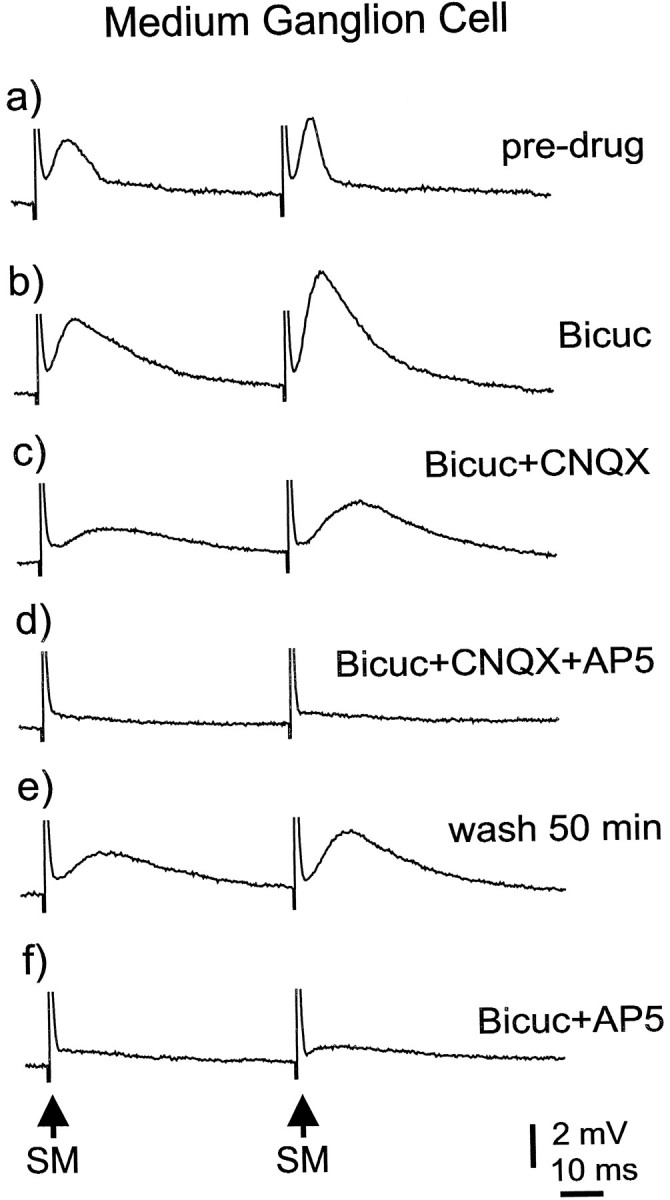 Fig. 11.