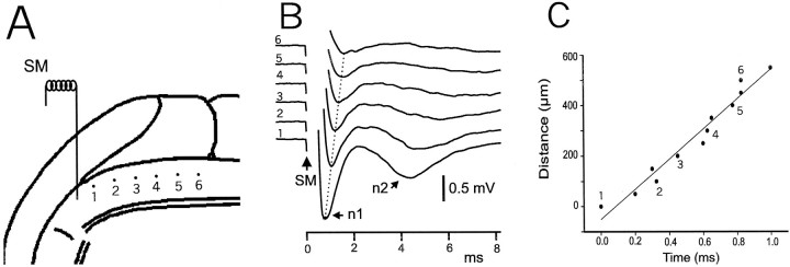 Fig. 5.