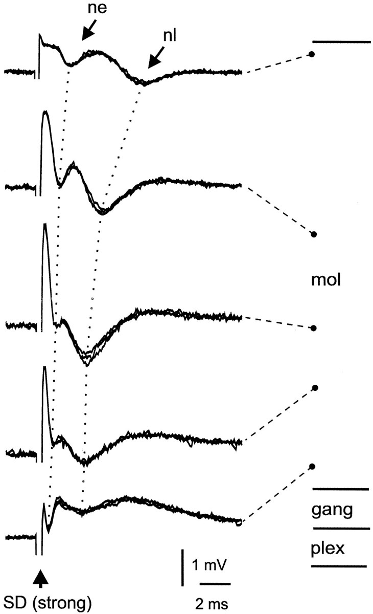 Fig. 3.