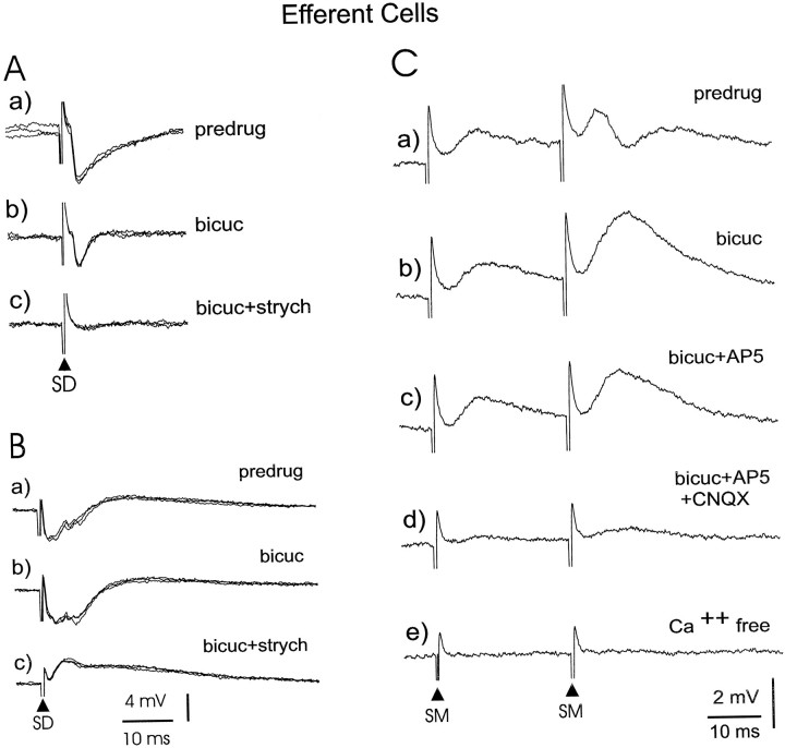 Fig. 13.