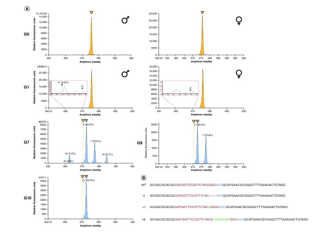 Figure 3. 