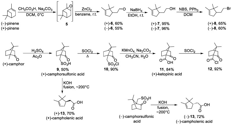 Scheme 2