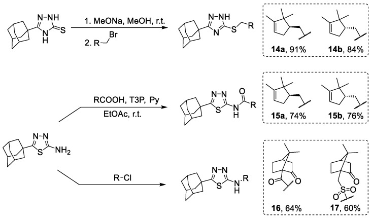 Scheme 3