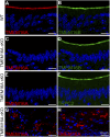 Figure 10.