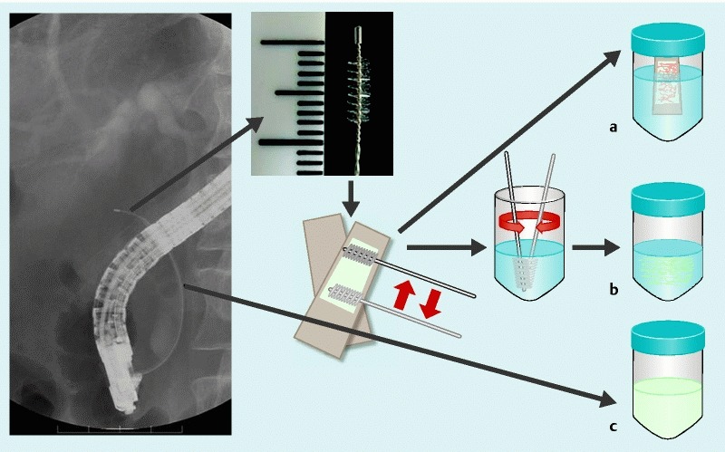 Fig. 1