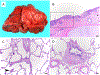 Figure 6: