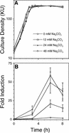 FIG. 4.