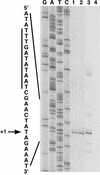 FIG. 2.