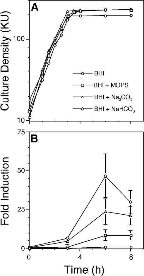 FIG. 5.