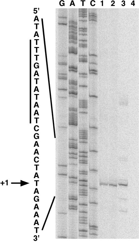 FIG. 2.