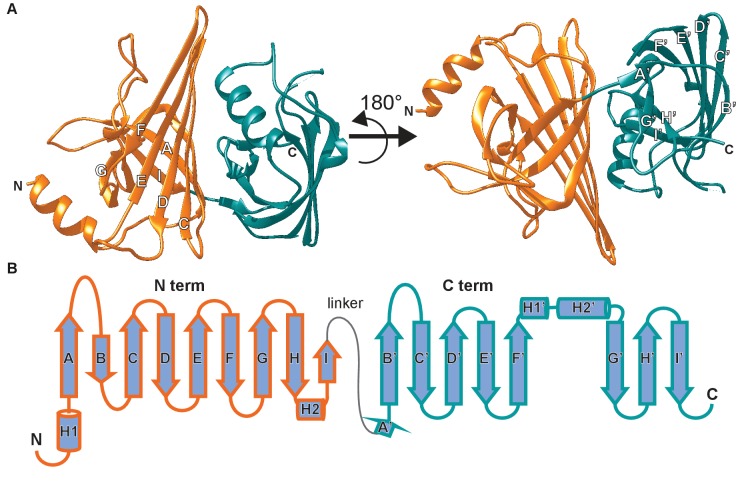 Figure 2.