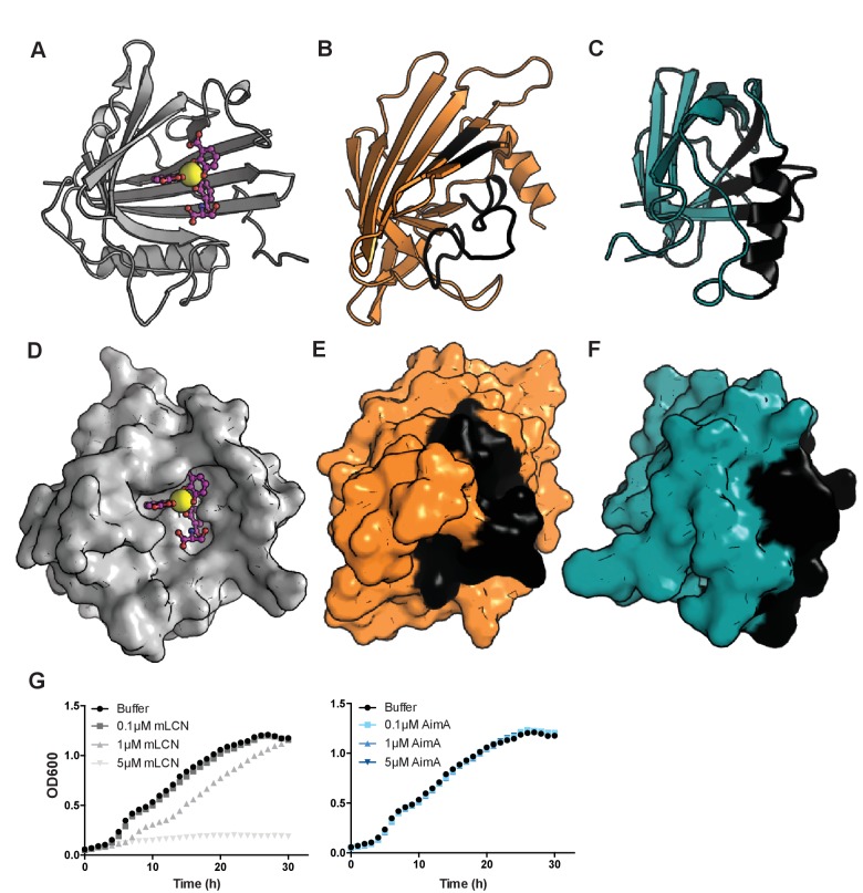 Figure 3—figure supplement 1.