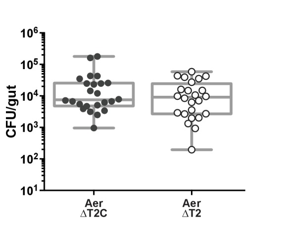 Figure 1—figure supplement 1.