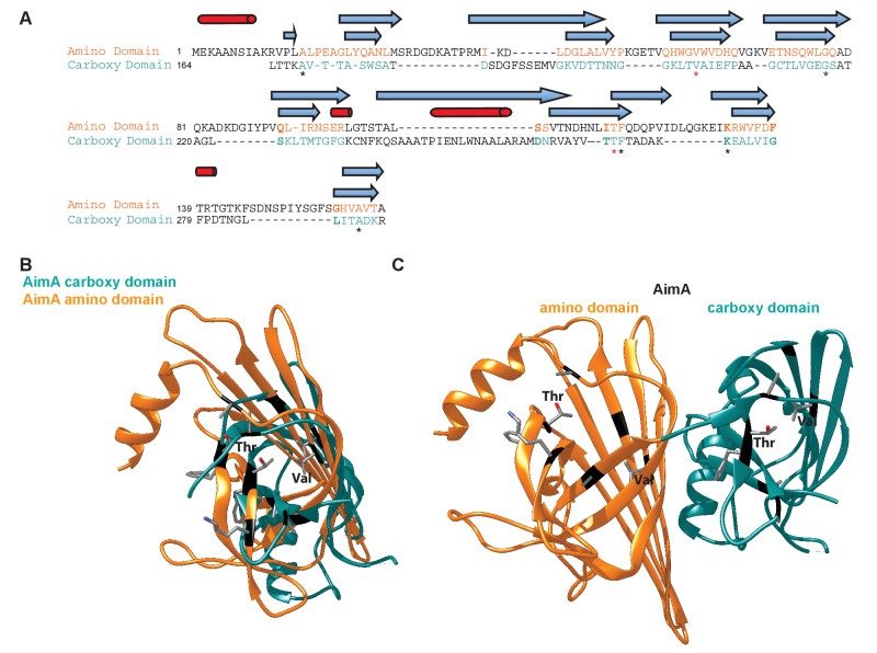 Figure 4—figure supplement 1.