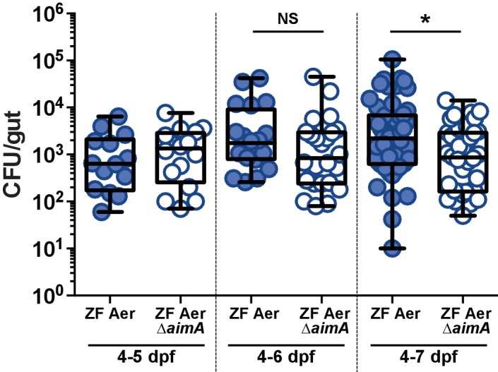 Figure 5—figure supplement 2.