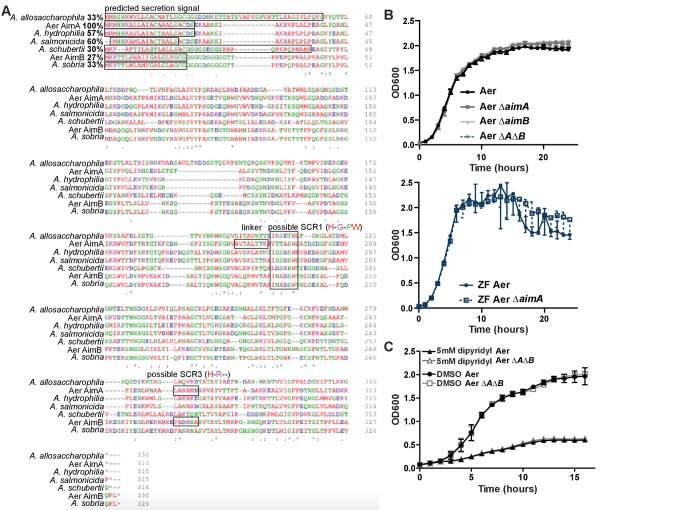 Figure 5—figure supplement 1.