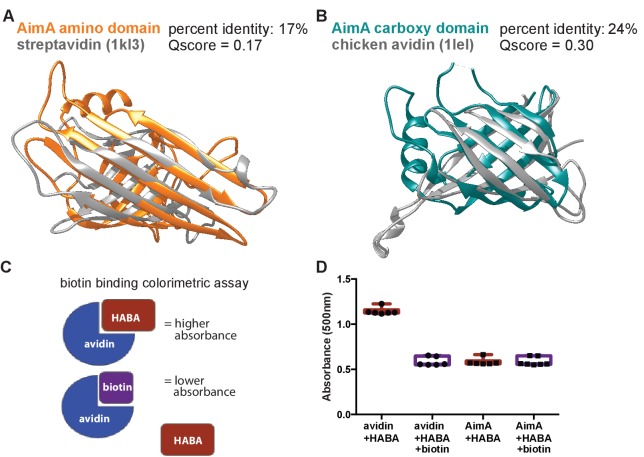 Figure 2—figure supplement 1.