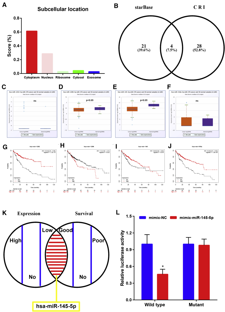 Figure 4