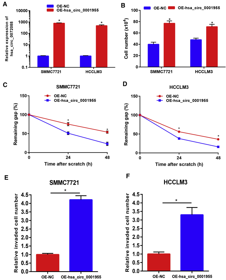 Figure 3