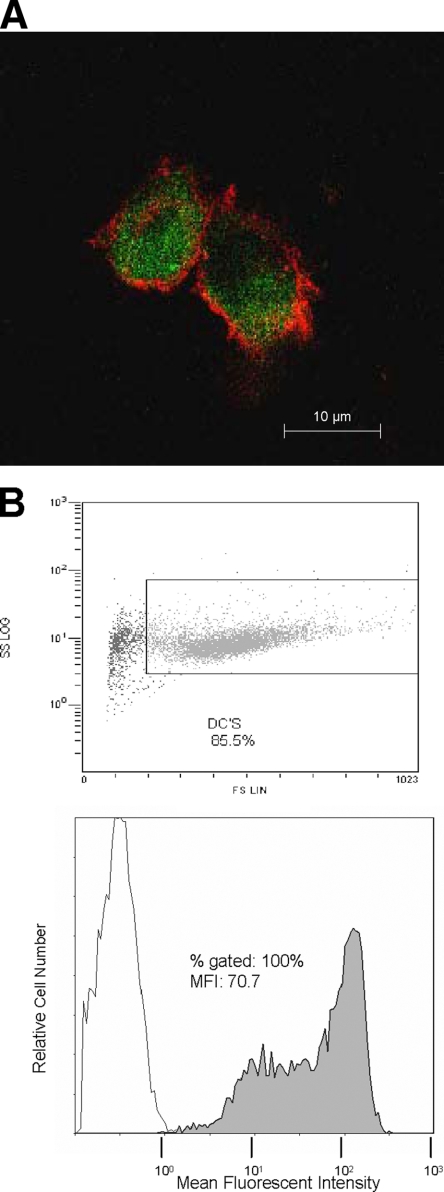 FIG. 3.