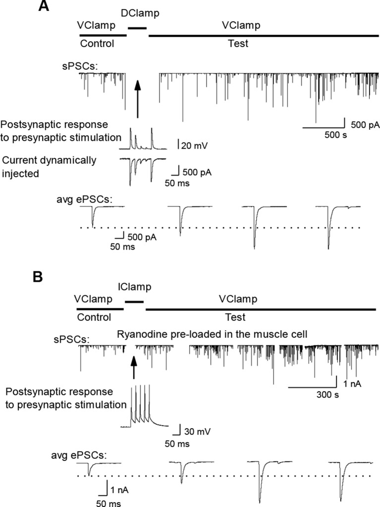 Figure 3—figure supplement 2.