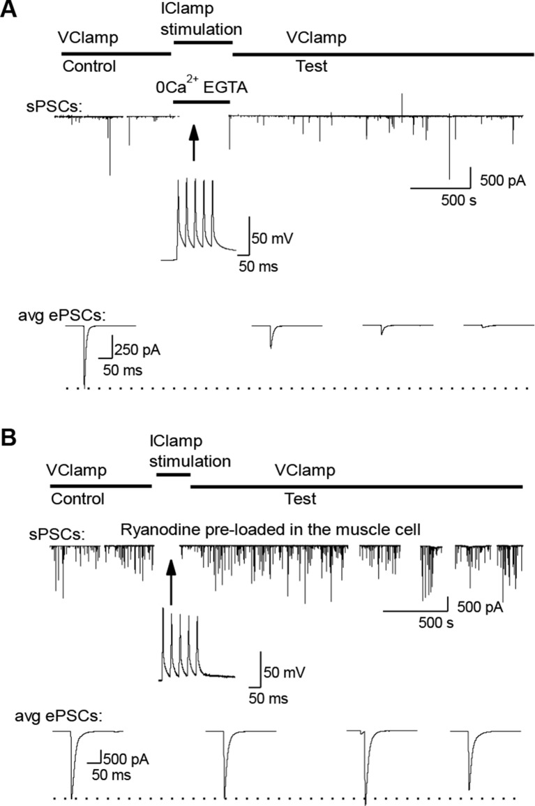 Figure 4—figure supplement 1.