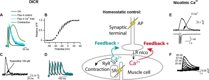 Figure 2.