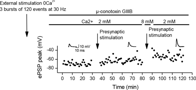 Figure 4—figure supplement 2.