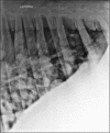 Figure-5