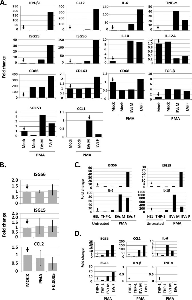 FIG 6