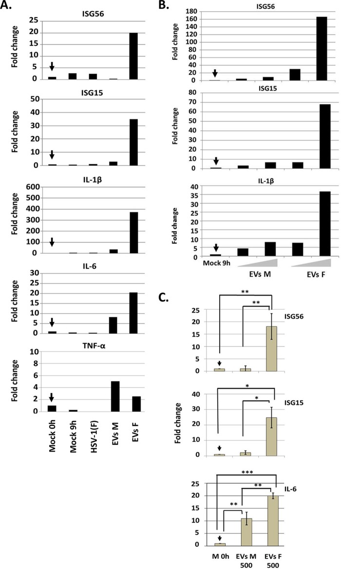 FIG 4