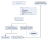 Study flow chart