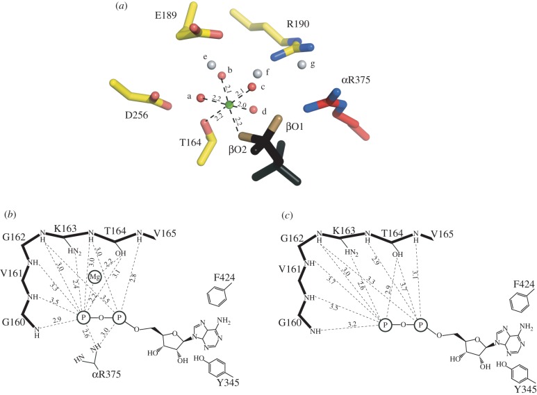 Figure 6.