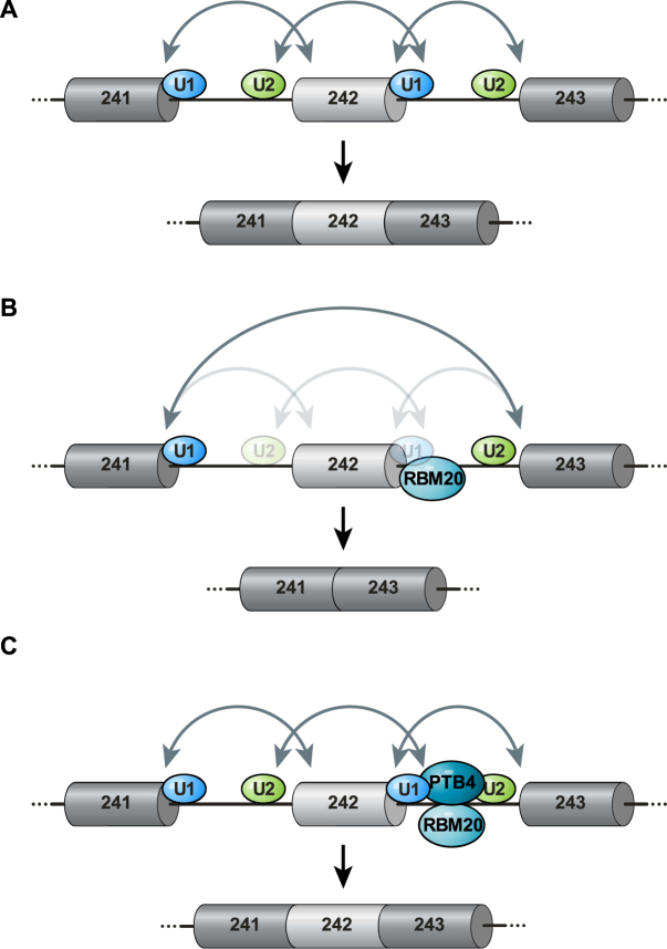 Figure 7.